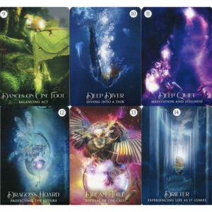 shamans dream oracle alberto villoldo colette baron reid