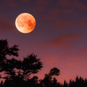 Shamanic Journey Circle Strawberry Moon 8th June 2025