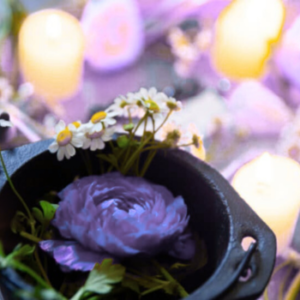 Sacred Space Practitioner Training December 2025
