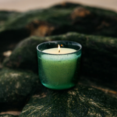 St Eval Sea Moss and Driftwood Glass Jar Candle