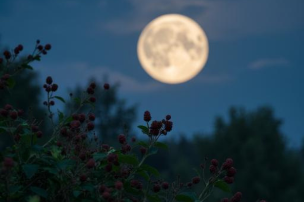 shamanic journey gathering hunter's moon
